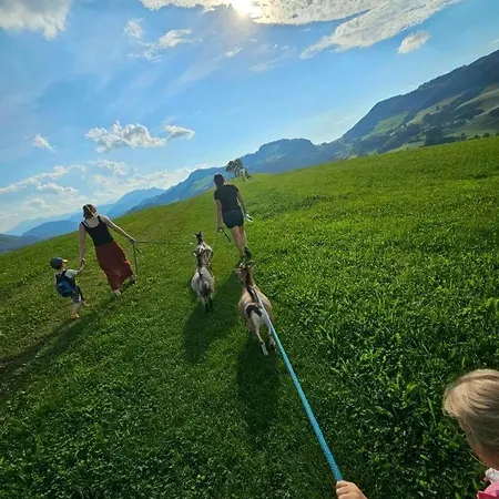 Seyerlehnerhof Penzion Maria Neustift