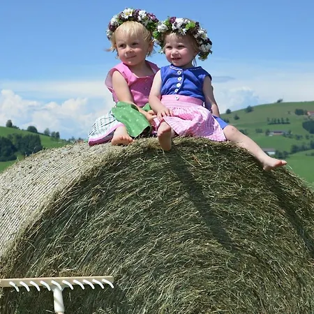 Seyerlehnerhof Maria Neustift