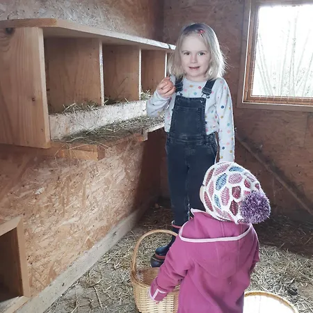 게스트하우스 Seyerlehnerhof 3*