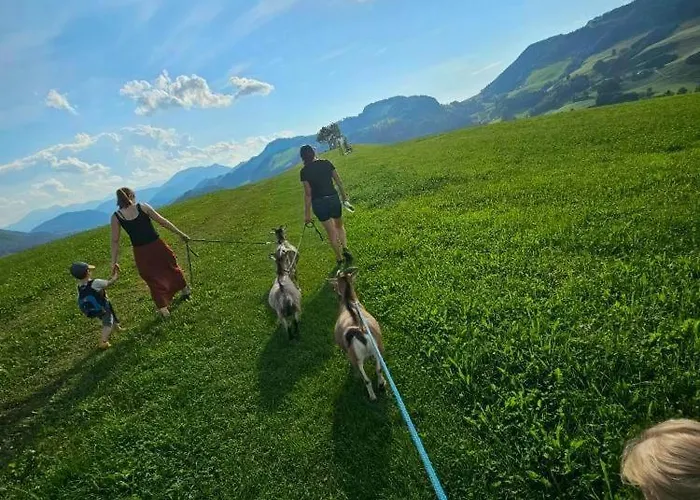 Seyerlehnerhof Konukevi Maria Neustift