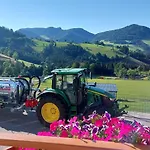 招待所 Seyerlehnerhof Maria Neustift