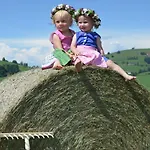 Seyerlehnerhof Maria Neustift