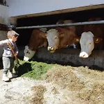 Seyerlehnerhof 3* Maria Neustift