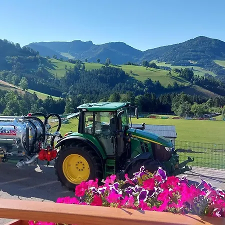 بيت ضيافة Seyerlehnerhof Maria Neustift