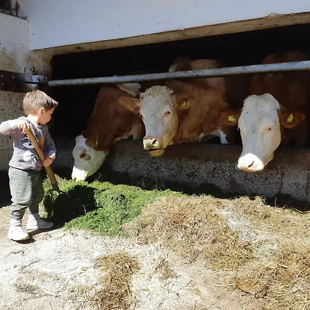 Seyerlehnerhof 3* Maria Neustift
