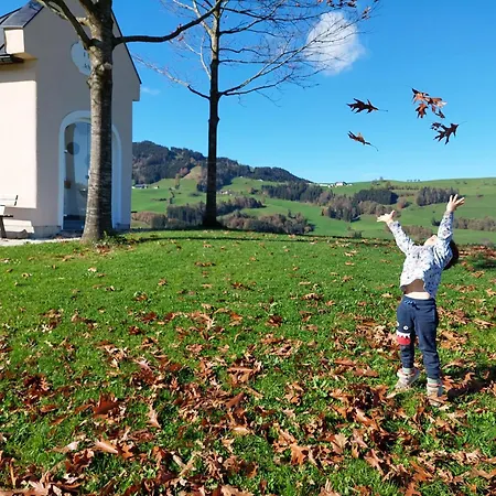 Seyerlehnerhof بيت ضيافة 3*