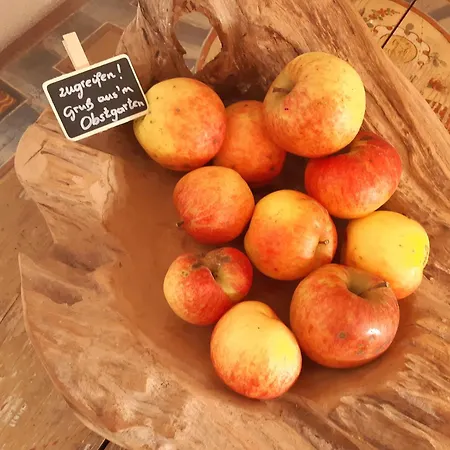 Seyerlehnerhof Affittacamere