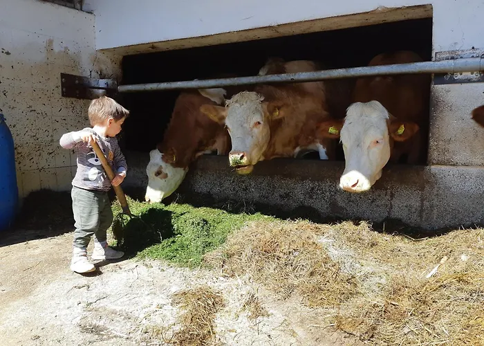 Seyerlehnerhof 3* Maria Neustift