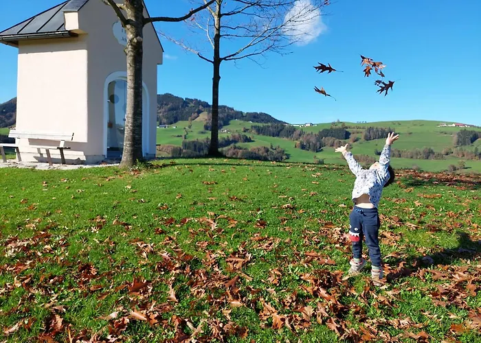 Seyerlehnerhof Guest house 3*